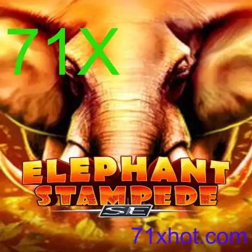 ElephantStampedeSE